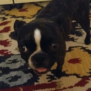 Meet your Posher, Carlos